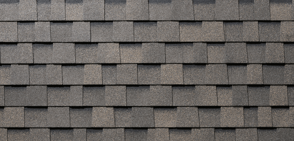 BARDEAU BOIS FOSSILE